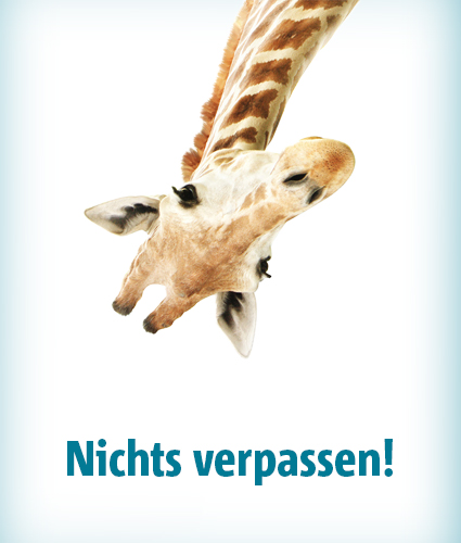 Kalender-Abonnement Banner_3.jpg